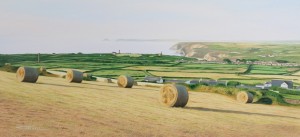 Hay Bales, St.Agnes Beacon. 