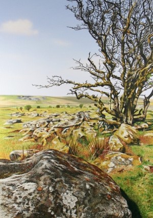 Tree & Granite, Bodmin Moor