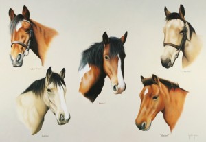 Horse group