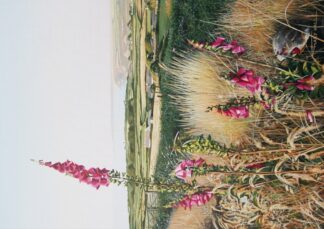 _Summer Light, St.Agnes Beacon