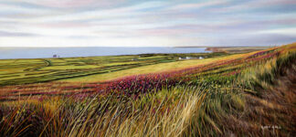 Summers Evening, St.Agnes Beacon