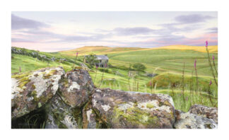 Towards Hill of Swallows, Bodmin Moor