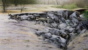 Wild Dogs of Africa