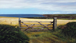 Field of Hay, St.Agnes Beacon