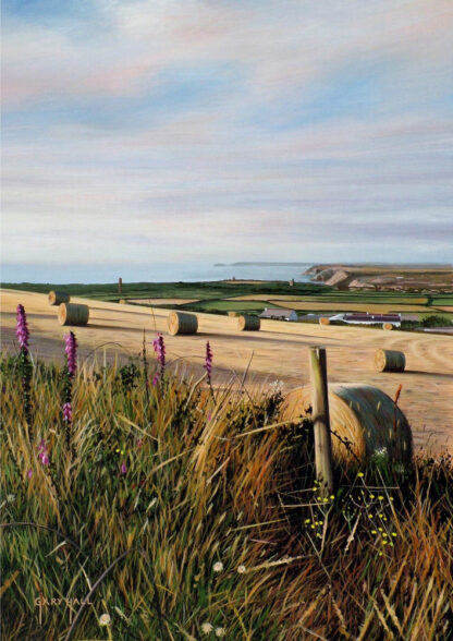 Hay Bales & Foxgloves, St.Agnes Beacon