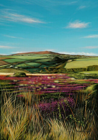 Purple Heather, St.Agnes Beacon