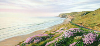 Sea Pinks at Chapel Porth