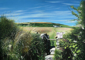 Summer Stile, St.Agnes Beacon