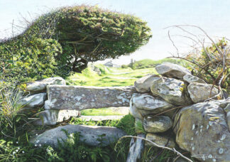 Stile towards Wicca, nr Zennor