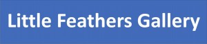 Little Feathers Gallery Facebook logo