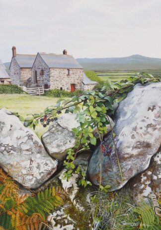 Blackberries & Ferns,Porthmeor,Giclee Print