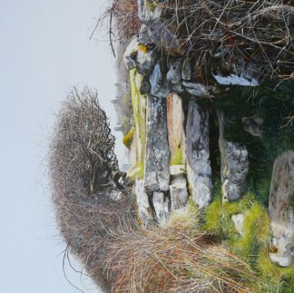 Spring Light, Wicca nr Zennor