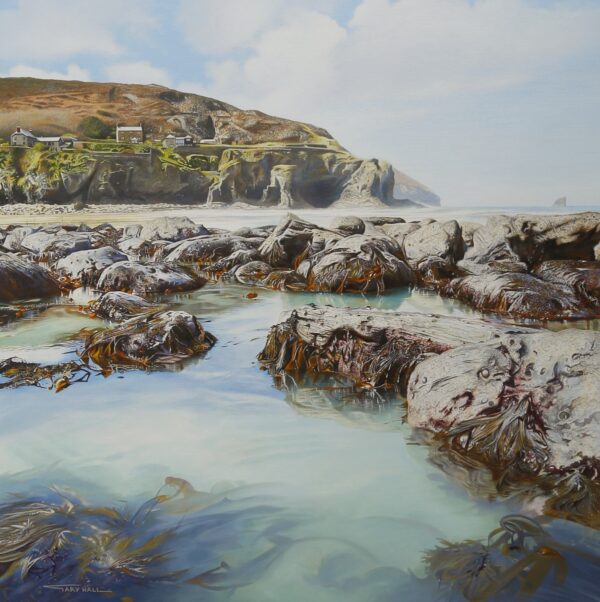 Spring Tide, Trevaunance Cove