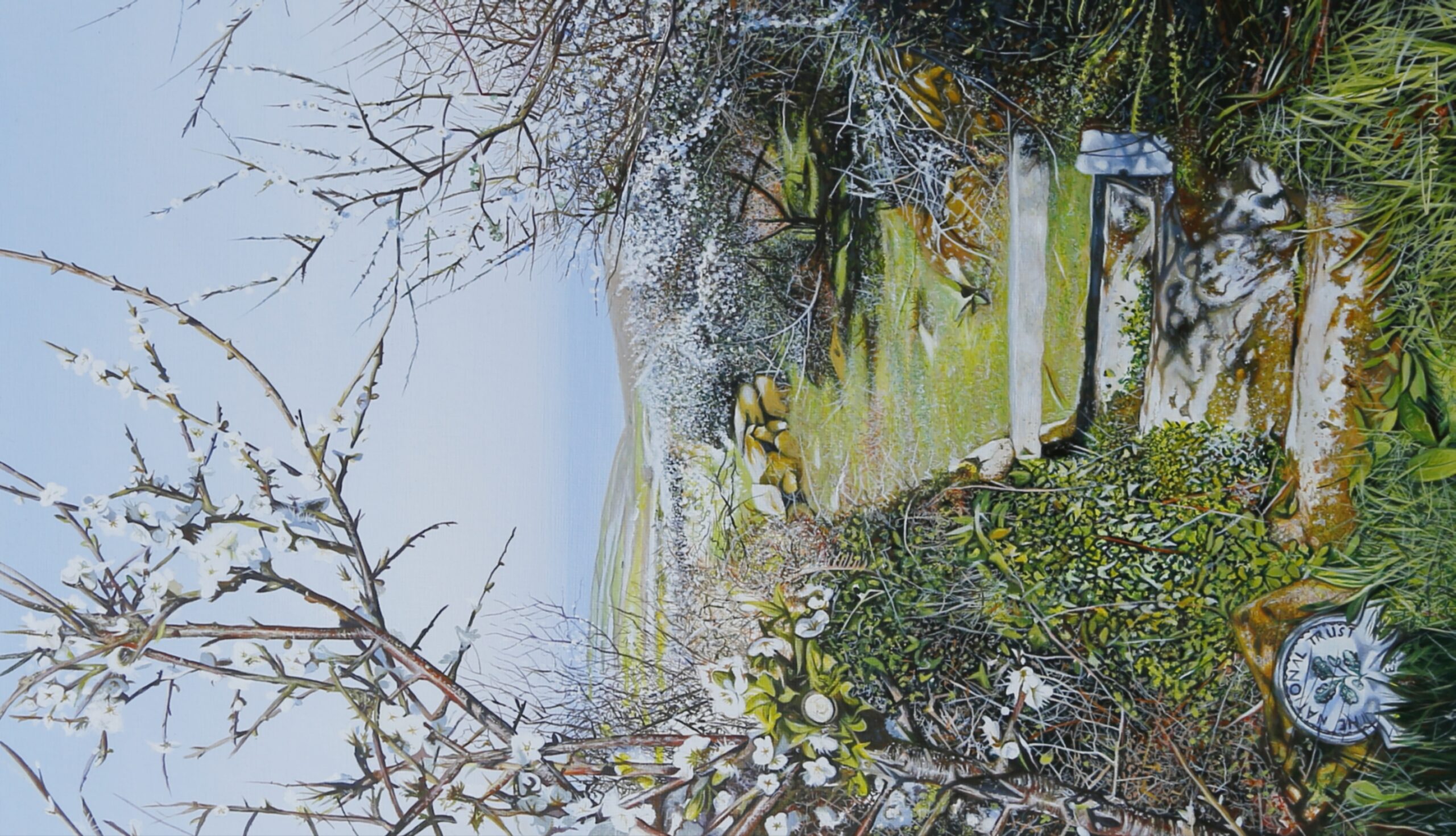 Blackthorn path to the sea, Trevessa