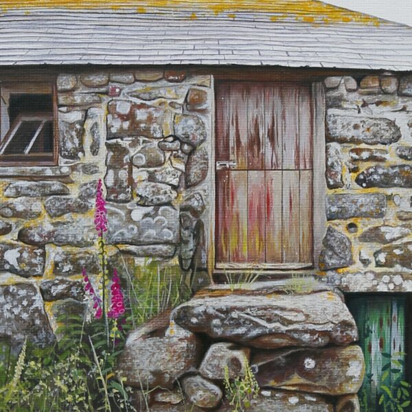 "Foxgloves to the old barn, Porthmeor"