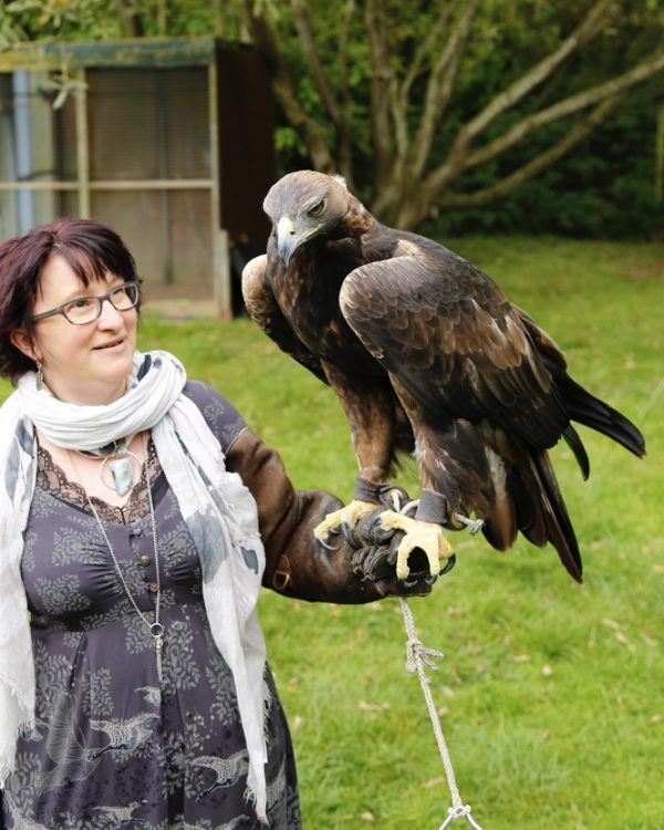 Golden Eagle Feather - Image 2