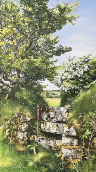 Spring Light, Path from Emblance Downs, Bodmin Moor