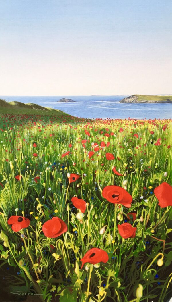 Polly Joke Poppies, West Pentire