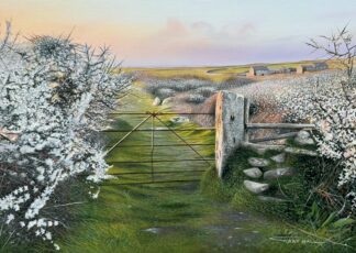 Blackthorn at Sunset, Porthmeor