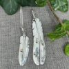 Snow Bunting Feather