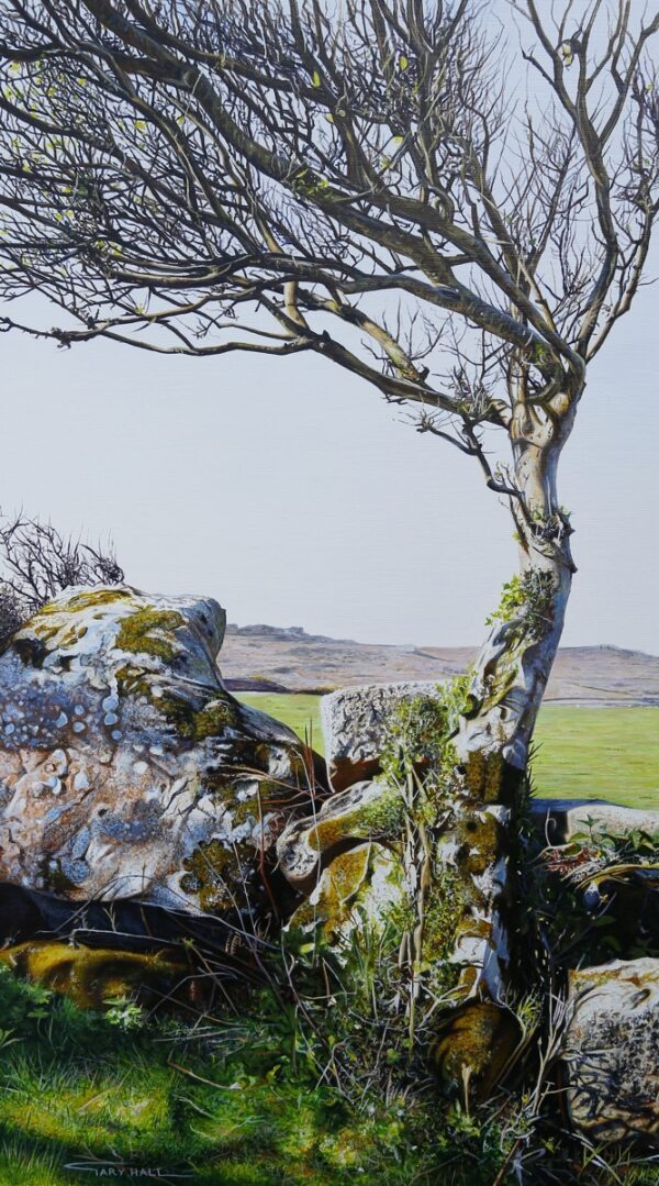 April Shadows, towards Tregerthen