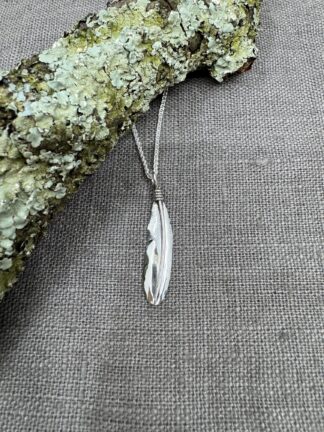 Small Blackbird Feather